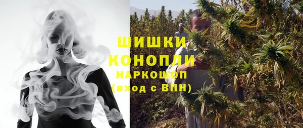 СК Коряжма
