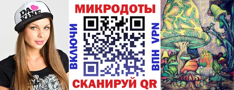 darknet формула  Сясьстрой  Псилоцибиновые грибы мицелий 